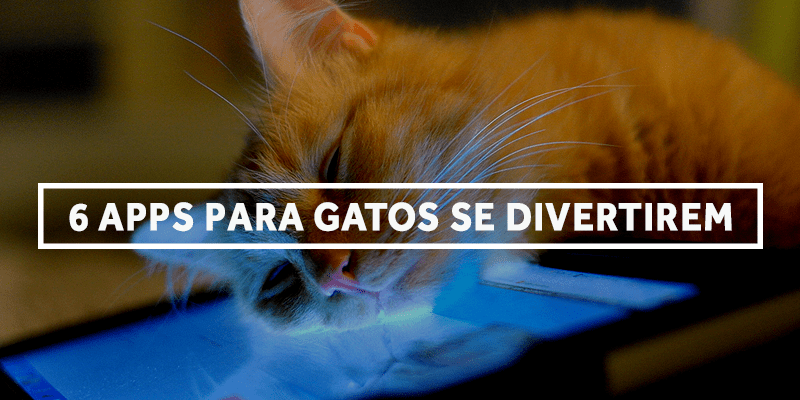 My Cat - Jogos de gato virtual – Apps no Google Play