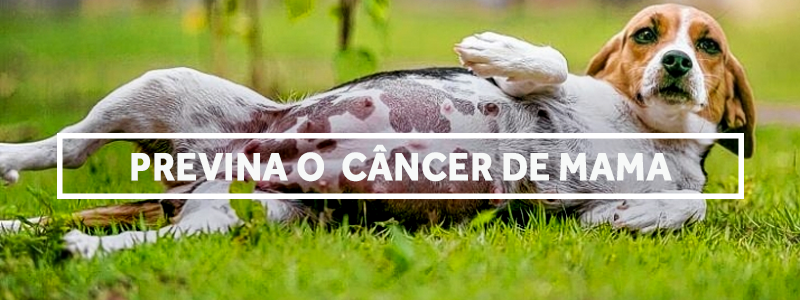 cancerdemama-blog