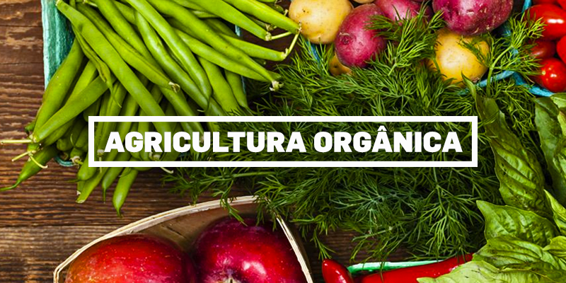 organico-blog1