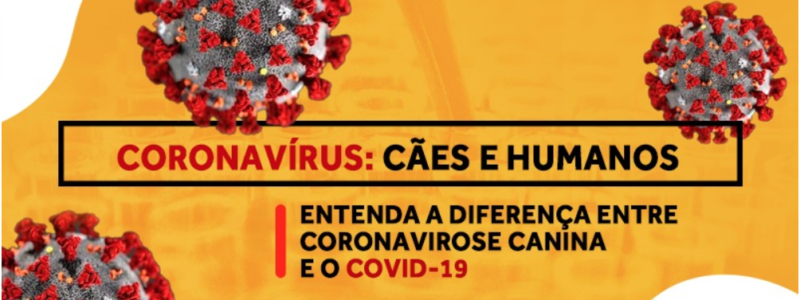 Coronavirus cães e humanos