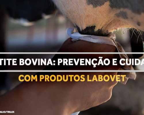 Raiva Bovina Uma AmeaÇa Para O Rebanho Que Precisa Ser Controlada