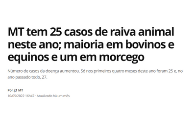 Notícia da raiva em bovinos em MT