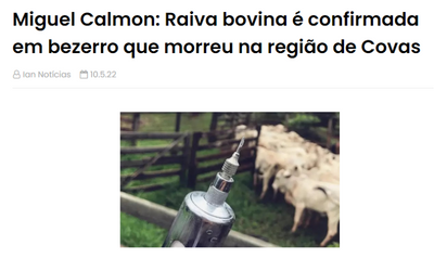 Vacinação da raiva em bovinos