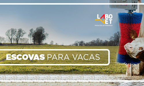 CAPA_blog_-_escova_para_vacas