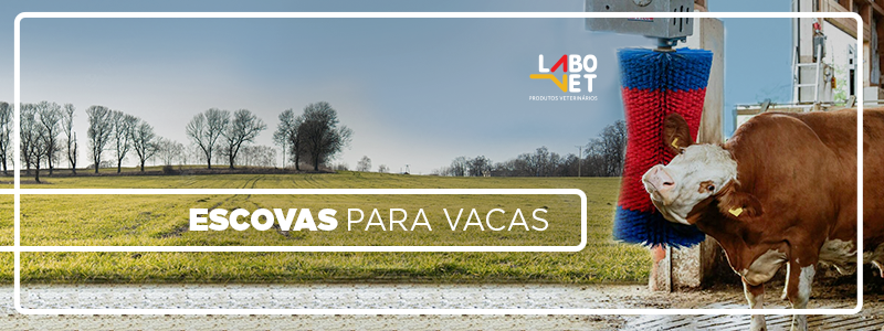 CAPA_blog_-_escova_para_vacas