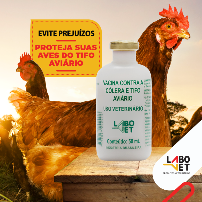 Tifo AviÁrio PreocupaÇÕes E ProjeÇÕes Na Carne De Frango Labovet