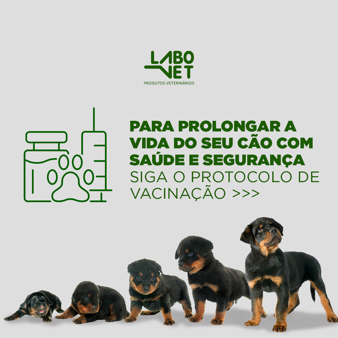 Protocolo de vacinação pet