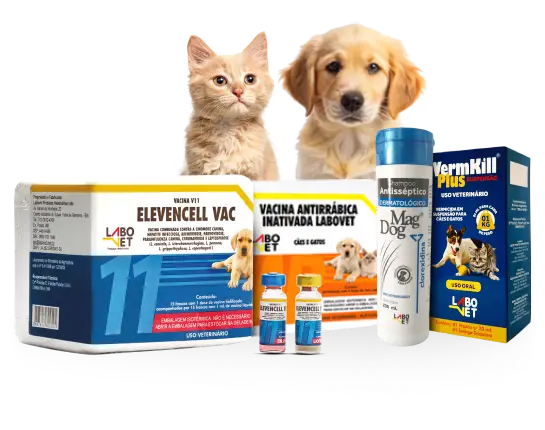 Banner_Produtos_Destaque_pet_545x430 (2)